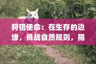 狩猎使命：在生存的边缘，挑战自然规则，揭示人与野生动物的共生关系