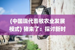 (中国现代畜牧农业发展模式) 猪来了：探讨新时代畜牧业发展与现代农业科技的完美结合