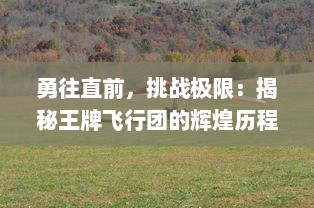 勇往直前，挑战极限：揭秘王牌飞行团的辉煌历程与不为人知的背后故事