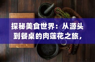 探秘美食世界：从源头到餐桌的肉莲花之旅，一段揭示中国传统烹饪艺术的美味探索 v3.5.4下载