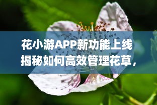 花小游APP新功能上线 揭秘如何高效管理花草，让爱花人士轻松养花。