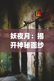 妖夜月：揭开神秘面纱，深入探究异世界的阴影与光明的交织与碰撞