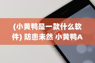 (小黄鸭是一款什么软件) 防患未然 小黄鸭APP：防风险软件，如何高效保护个人数据安全