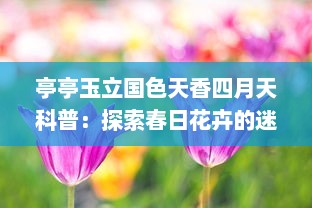 亭亭玉立国色天香四月天科普：探索春日花卉的迷人魅力与生态价值