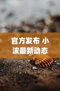 官方发布 小波最新动态速递：探索全新视界，引领科技创新之潮 ，了解详情