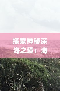 探索神秘深海之境：海神之路-挑战未知，寻求海洋生物王国的奥秘与魅力