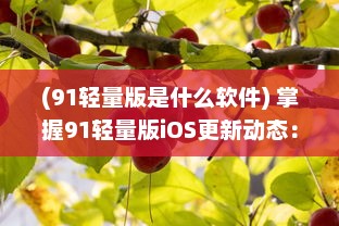 (91轻量版是什么软件) 掌握91轻量版iOS更新动态：新功能、改进点速递 探索最新iOS优化体验