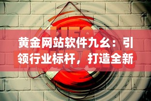 黄金网站软件九幺：引领行业标杆，打造全新的互联网软件开发与服务体验 v9.7.0下载