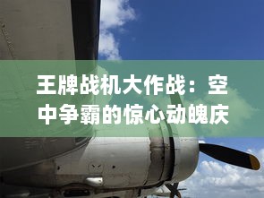 王牌战机大作战：空中争霸的惊心动魄庆典，勇士的胜利与荣誉的最终较量