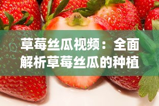 草莓丝瓜视频：全面解析草莓丝瓜的种植技术与实用养护知识 v4.8.3下载