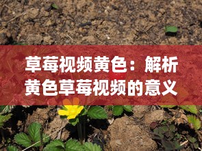 草莓视频黄色：解析黄色草莓视频的意义和影响，及其在娱乐行业中的独特地位 v3.6.0下载