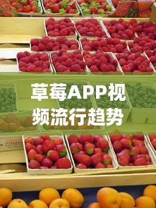 草莓APP视频流行趋势分析：解锁2021年最新视频风格及用户喜好深度解析 v4.2.2下载