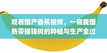 观看国产香蕉视频，一窥我国热带摇钱树的种植与生产全过程 v4.2.5下载