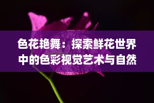 色花艳舞：探索鲜花世界中的色彩视觉艺术与自然生态之美的全新解读 v0.8.6下载