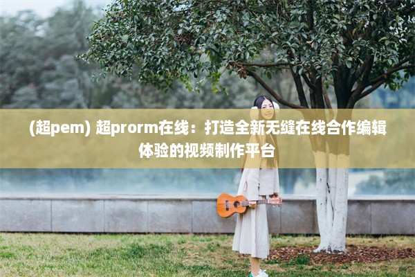 (超pem) 超prorm在线：打造全新无缝在线合作编辑体验的视频制作平台