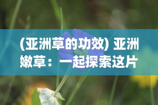 (亚洲草的功效) 亚洲嫩草：一起探索这片绿色生机勃勃、充满活力的未知领域