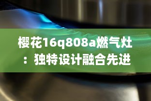 樱花16q808a燃气灶：独特设计融合先进科技，让烹饪过程更加便捷流畅 v9.6.8下载