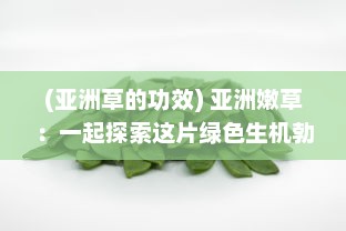 (亚洲草的功效) 亚洲嫩草：一起探索这片绿色生机勃勃、充满活力的未知领域