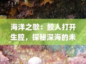 海洋之歌：鲛人打开生腔，探秘深海的未知乐章 v2.9.5下载