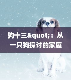 狗十三"：从一只狗探讨的家庭矛盾到青少年成长的社会现实，对中华传统文化的深度解读 v7.2.4下载