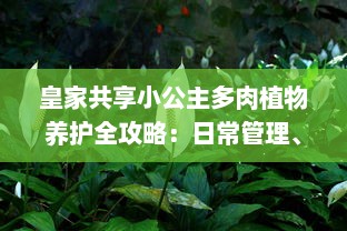 皇家共享小公主多肉植物养护全攻略：日常管理、浇水技巧和养殖环境详细介绍