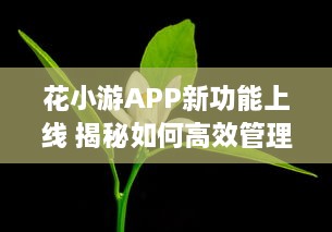 花小游APP新功能上线 揭秘如何高效管理花草，让爱花人士轻松养花。