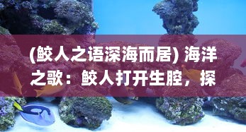 (鲛人之语深海而居) 海洋之歌：鲛人打开生腔，探秘深海的未知乐章