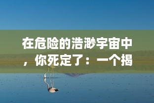 在危险的浩渺宇宙中，你死定了：一个揭示人类生存危机的深度探索