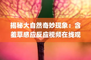 揭秘大自然奇妙现象：含羞草感应反应视频在线观看及科学原理解析