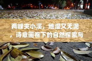 两峰夹小溪，地湿又无泥 ，诗意画卷下的自然探索与人生哲思 v8.9.4下载