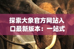 探索大象官方网站入口最新版本：一站式解锁全新功能与体验 v7.8.1下载