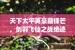 天下太平英豪藏锋芒，剑羽飞仙之战绝迹天涯的世外神奇征程