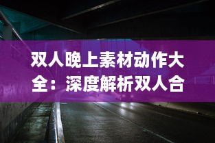 双人晚上素材动作大全：深度解析双人合作动作设计与应用于夜晚环境中的特殊表现 v9.3.3下载