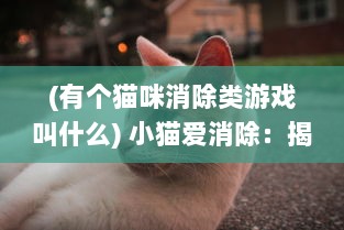 (有个猫咪消除类游戏叫什么) 小猫爱消除：揭秘萌萌小猫的智力挑战与消除乐趣