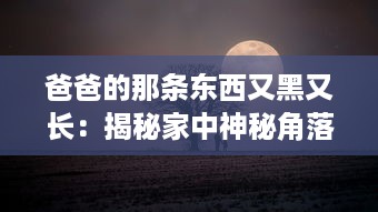 爸爸的那条东西又黑又长：揭秘家中神秘角落中的老式钓鱼竿传承故事