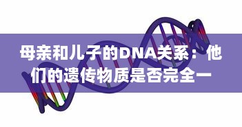 母亲和儿子的DNA关系：他们的遗传物质是否完全一样 v1.9.7下载