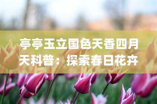 亭亭玉立国色天香四月天科普：探索春日花卉的迷人魅力与生态价值