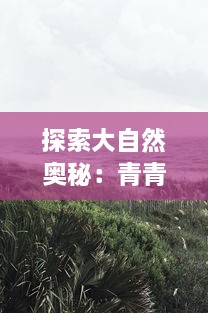 探索大自然奥秘：青青草精品视频让您亲密接触自然，感受生命力的流动