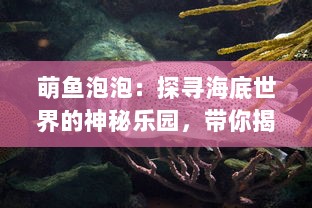 萌鱼泡泡：探寻海底世界的神秘乐园，带你揭开生物多样性的奇妙之门