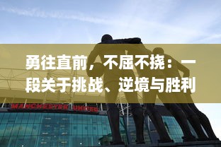 勇往直前，不屈不挠：一段关于挑战、逆境与胜利的篮球夺冠之路