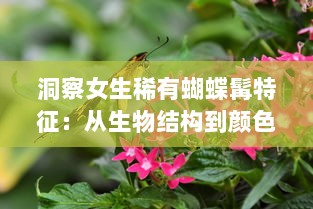 洞察女生稀有蝴蝶髯特征：从生物结构到颜色分布的详细解析 v2.3.2下载