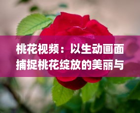 桃花视频：以生动画面捕捉桃花绽放的美丽与韵味，为您带来视觉与感觉的双重享受 v1.2.7下载