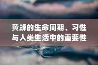 黄蜂的生命周期、习性与人类生活中的重要性：从生态平衡到环境保护的一种全新视角