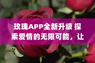 玫瑰APP全新升级 探索爱情的无限可能，让玫瑰引领你的浪漫之旅 v0.4.8下载