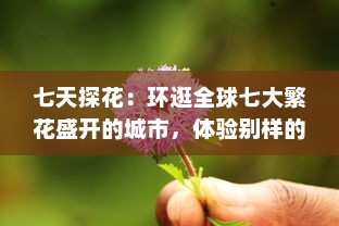 七天探花：环逛全球七大繁花盛开的城市，体验别样的花朵文化之旅 v2.5.1下载