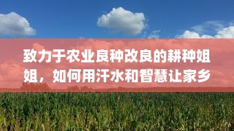 致力于农业良种改良的耕种姐姐，如何用汗水和智慧让家乡的土地更肥沃