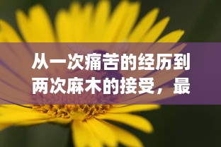 从一次痛苦的经历到两次麻木的接受，最后成为蜜蜂爬行的亲近：关于生活无常与接受挑战的思考 v7.1.9下载