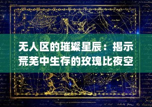 无人区的璀璨星辰：揭示荒芜中生存的玫瑰比夜空闪烁的繁星更引人瞩目多少 v9.0.2下载