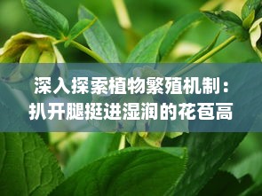 深入探索植物繁殖机制：扒开腿挺进湿润的花苞高清视频展示 v2.5.4下载