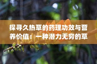 探寻久热草的药理功效与营养价值：一种潜力无穷的草本植物资源 v0.9.0下载